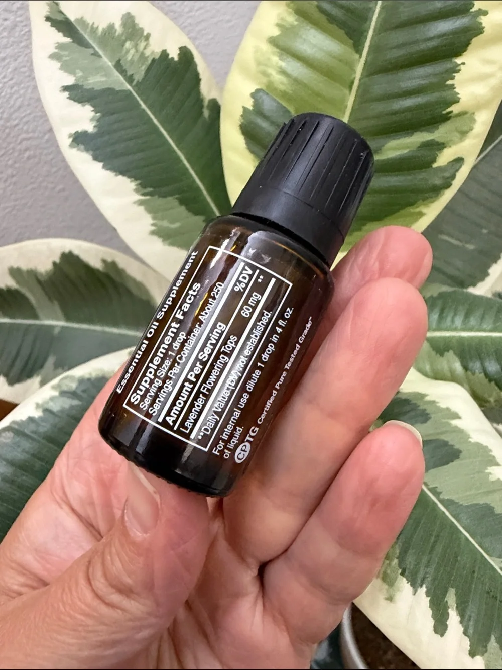 New Doterra Lavender Essential Oil 15ml